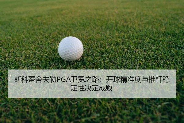 si-ke-di-she-fu-lei-wei-mian-zhi-lu-kai-qiu-jing-zhun-du-yu-tui-gan-wen-ding-xing-jue-ding-cheng-bai-2-708.jpg
