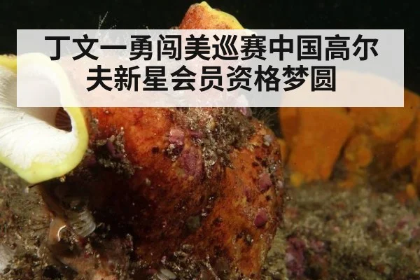 丁文一勇闯美巡赛中国高尔夫新星会员资格梦圆