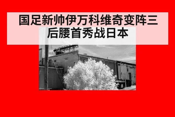 国足新帅伊万科维奇变阵三后腰首秀战日本